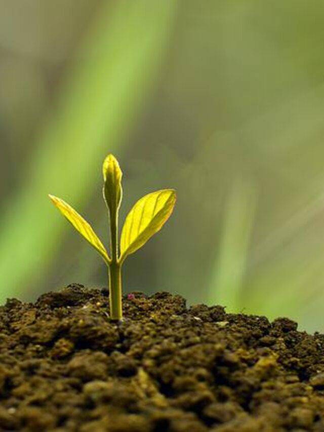 सफल विचार : ऐसे लक्ष्य जो लिखे नहीं जाते, वे केवल इच्छाएं मात्र हैं।