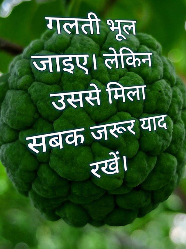 गलती भूल जाइये लेकिन उससे मिला सबक याद रखिए