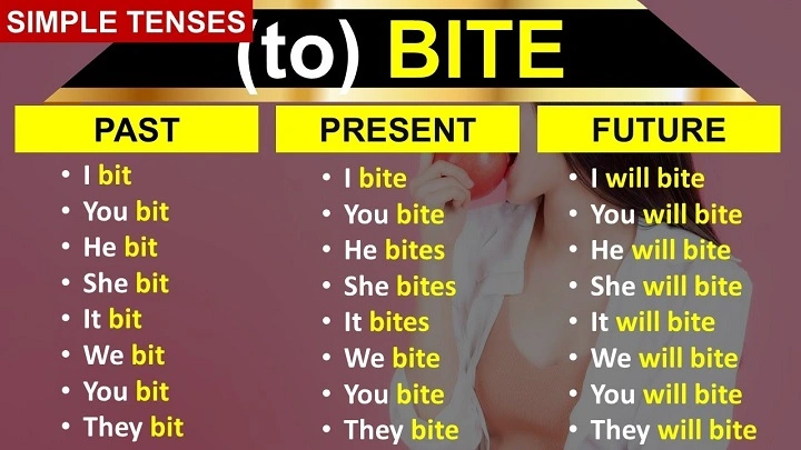 Understanding the Past Tense of Bite: A Complete Guide for English Learners Past Tense of Biteggdg