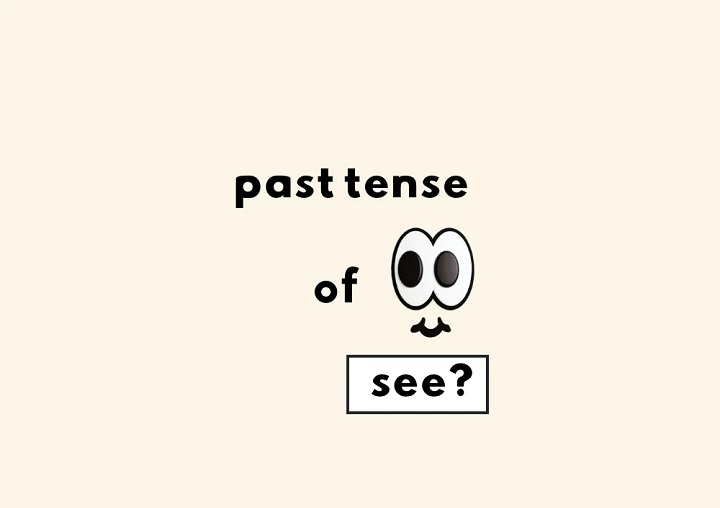 Mastering the Past Tense of “See”: Forms, Usage and Examples past tense of see