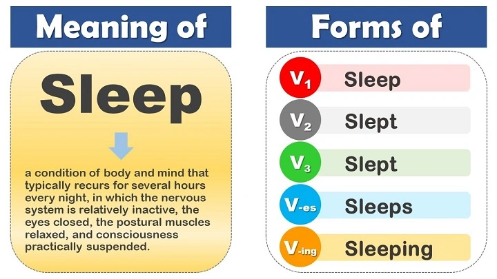 Understanding the Past Tense of “Sleep”: Forms, Usage, and Examples sleep past tensedstt