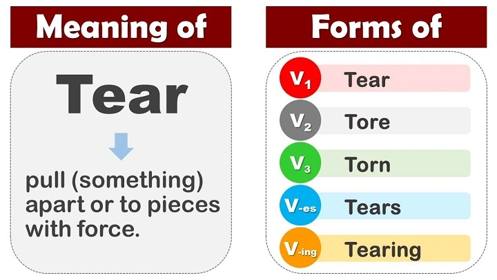 Understanding the Past Tense of “Tear”: A Guide for English Learners tear past tensedd