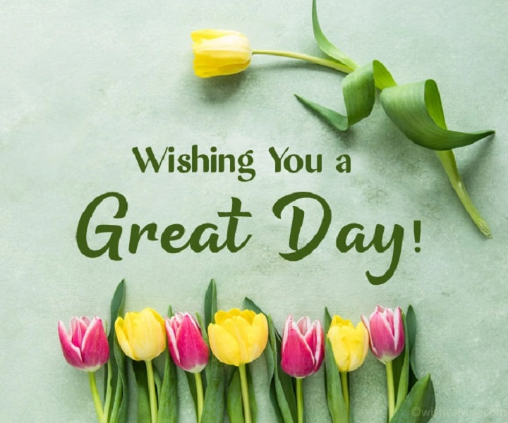 Greetings of the Day: Meaning, Usage, and Etiquette greetings of the day