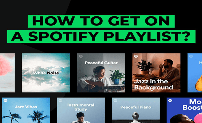 How to Get Featured on Curated Spotify Playlists Screenshot 3