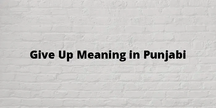 Give Up Punjabi Meaning: Simple Explanation and Daily Use give up meaning in punjabi