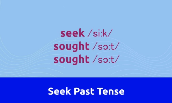 Seek Past Tense: Definition, Formula and Easy Examples seek past tense