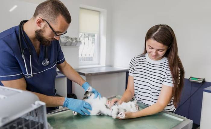 Selecting A Veterinary Specialty: Internal Medicine, Surgery, Behavior & Beyond Screenshot 19